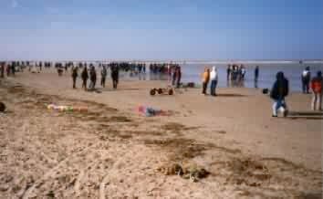 Wenn sich Wasser und Zuschauer den Strand teilen, wo sollen dann die Buggies fahren???